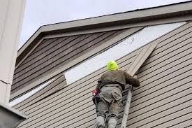 Best Custom Trim and Detailing for Siding  in Anacoco, LA